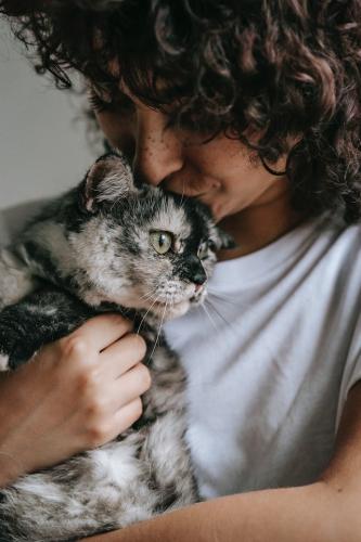 cats3
